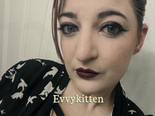 Evvykitten