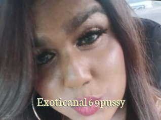 exoticanal69pussy Porn str8