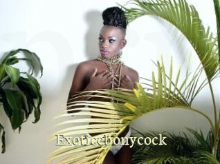 Exoticebonycock