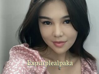 Expurplealpaka