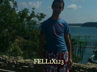 FELL1X123