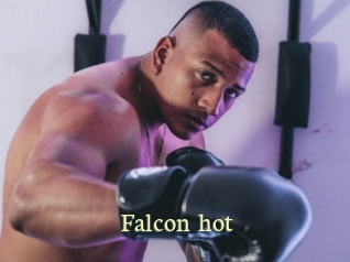 falcon_hot Porn str8