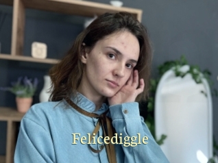 Felicediggle