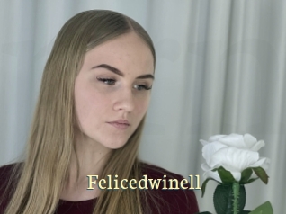 Felicedwinell