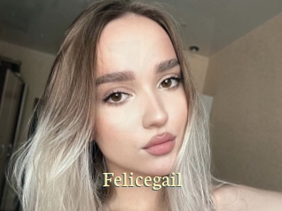 felicegail Porn str8