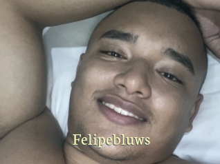 felipebluws Porn str8