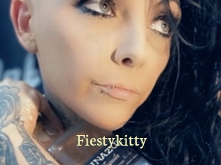 fiestykitty Porn str8