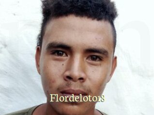 flordeloto18 Porn str8