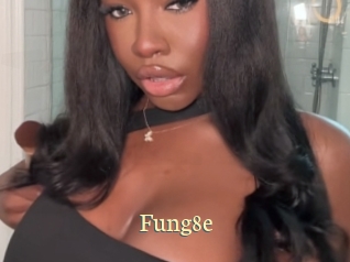 Fung8e