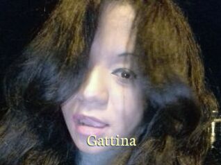 Gattina