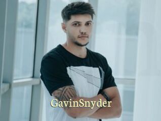 GavinSnyder Porn str8