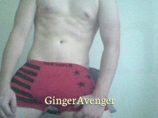 GingerAvenger