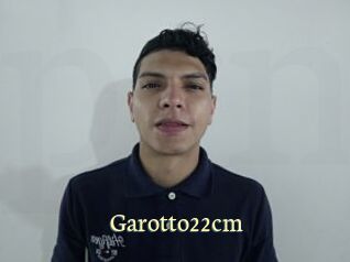 garotto22cm Porn str8
