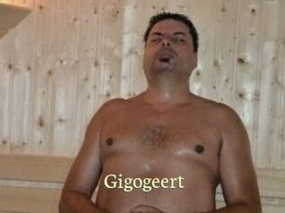 gigogeert Porn str8