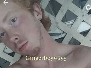 Gingerboy9695