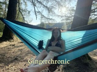 Gingerchronic