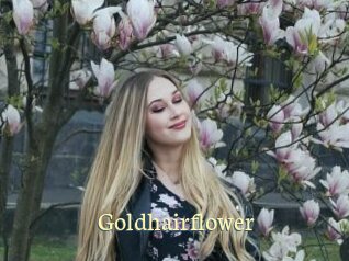 Goldhairflower