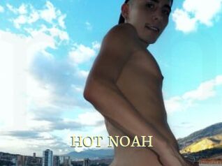 HOT_NOAH
