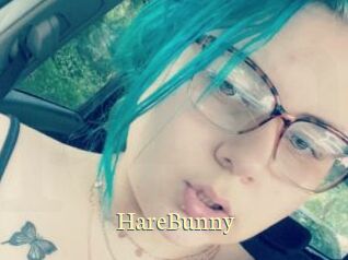 HareBunny
