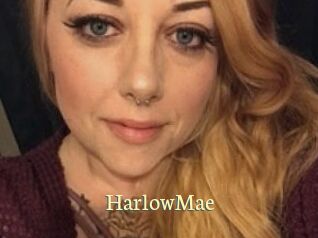 Harlow_Mae