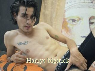 Harrys_bigstick