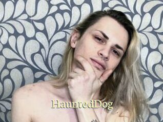 HauntedDog Porn str8
