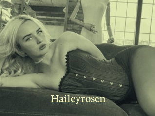 haileyrosen Porn str8