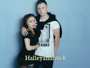 Halleyandbuck