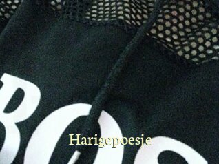 Harigepoesje