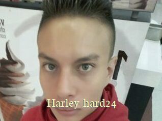 Harley_hard24