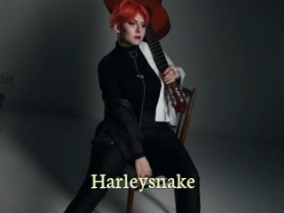 Harleysnake