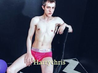 harrychris Porn str8
