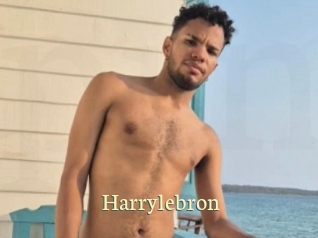 Harrylebron