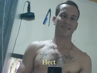 Hect