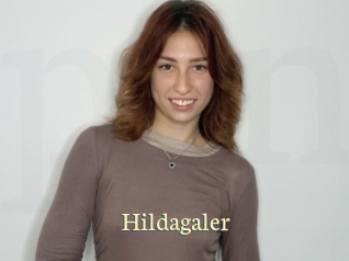 Hildagaler