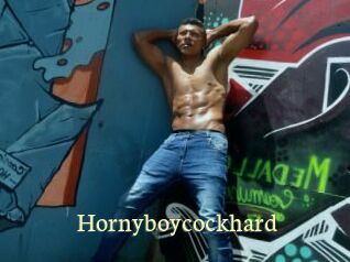 hornyboycockhard Porn str8