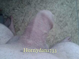 Hornydan1733