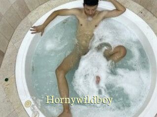 Hornywildboy