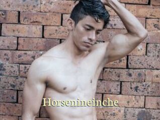 Horsenineinche