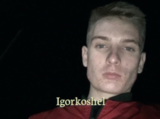 Igorkoshel