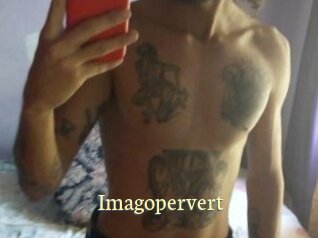 imagopervert Porn str8
