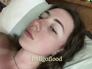 Indigoflood