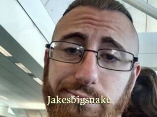 Jakesbigsnake