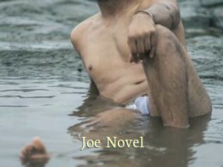 Joe_Novel Porn str8
