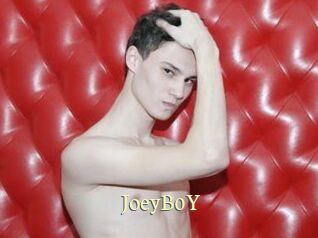 JoeyB0Y