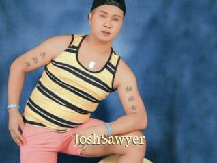 JoshSawyer Porn str8