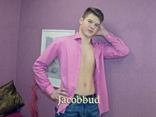 Jacobbud
