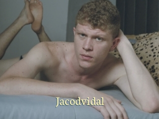 jacodvidal Porn str8