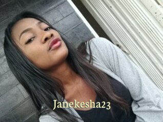 janekesha23 Porn str8