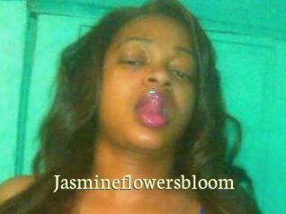 jasmineflowersbloom Porn str8